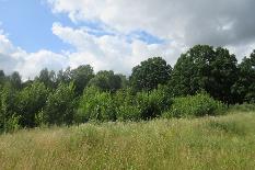IMG_9729.JPG